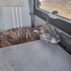 Da ist jemand fix und fertig nach dieser Runde.