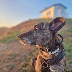 Sie hat schon Model-Potential, sieht fast harmlos aus.