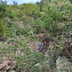 Hier rutsche ich auf dem Hosenboden runter.