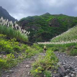Durch besiedeltes Gebiet steigt der Weg gemächlich an.