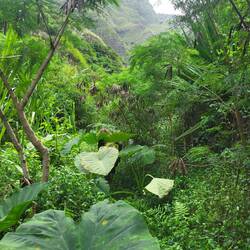 Mein Guide ist kaum auszumachen.