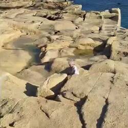 Glasscherben eingesammelt