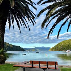 Avondzonnetje in Picton :)