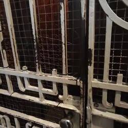 Fahrstuhl in der Academia - solche Kleinode gibt es hier noch viele