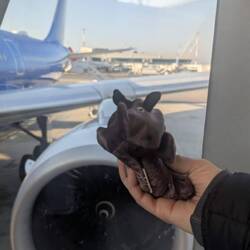 Pööööörnchen