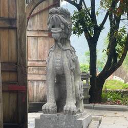 Need one of these watch dogs