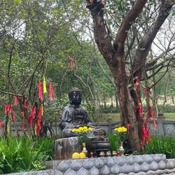 Buddha under Bodhi tree