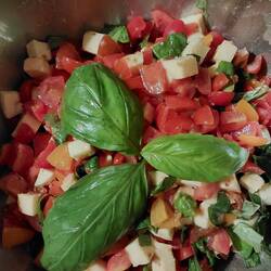 Lecker Caprese Salat, ich konnte auch was beisteuern