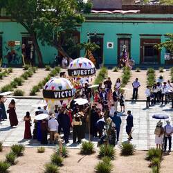 Die Hochzeits- Gesellschaft