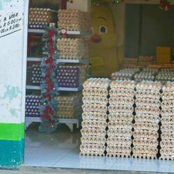 Ob man hier auch nur 6 Eier bekommt