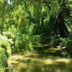 La petite rivière à Tai Tapu park