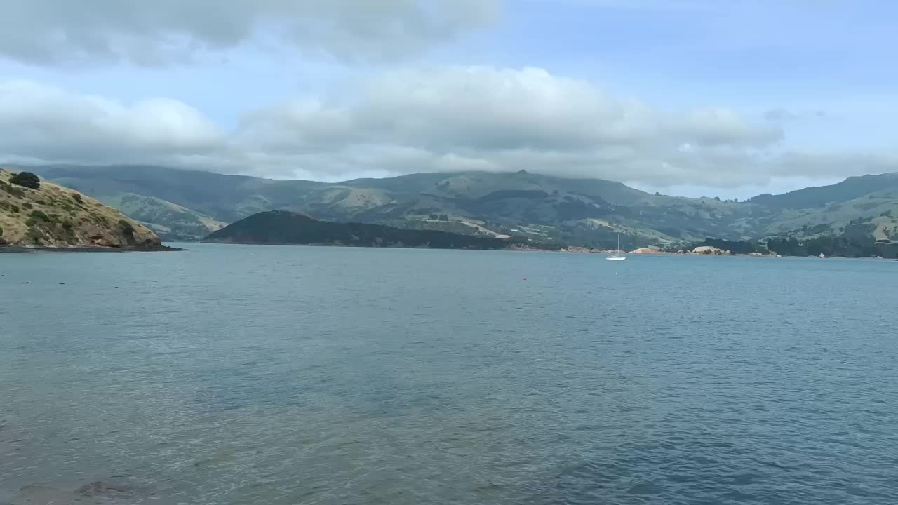 Dernière vidéo avant de partir de notre superbe free camping! Au revoir petite mouette 😘