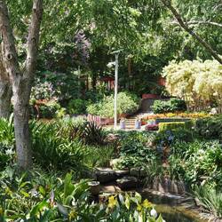 Grüße an das wintergeplagte Deutschland / Greetings to winter-splagued Germany