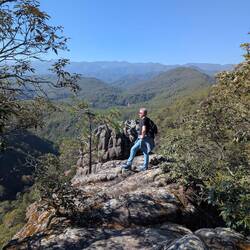 Egal wohin man blickt, kein toter Baum. 🤷🏻‍♂️