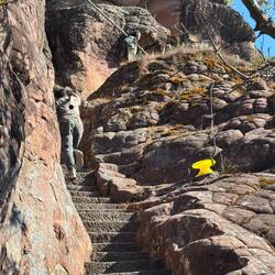 Arbeiter tragen Stangen hoch - Arbeitsschutz lässt grüßen 😬