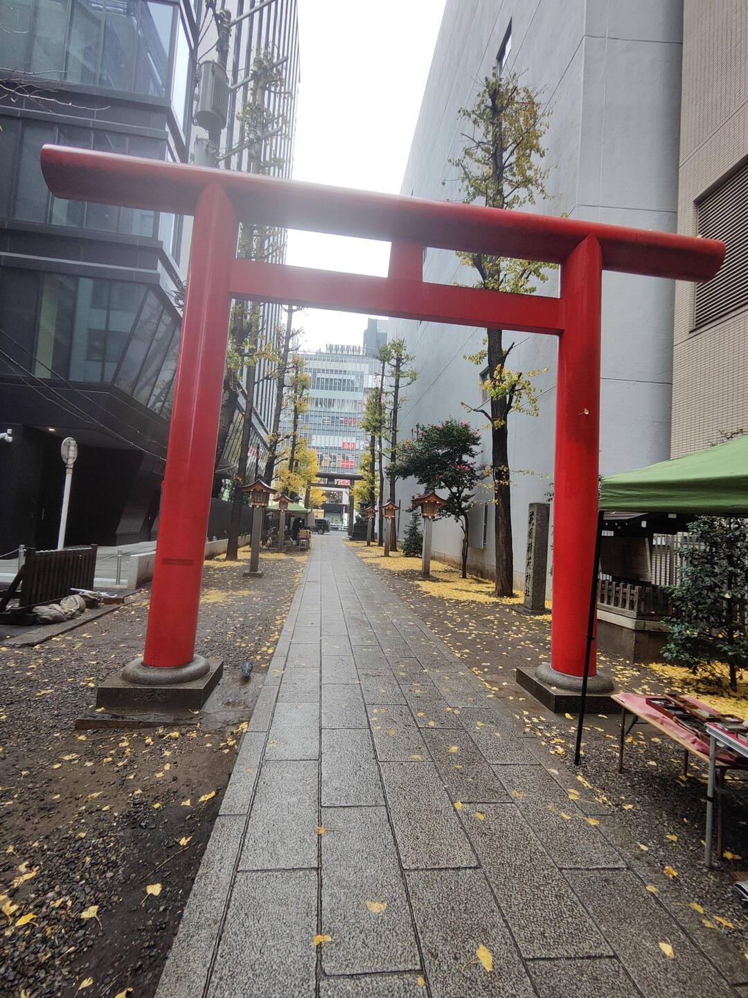 Torii-Gate zum Hanazono Schrein