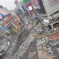 .. der berühmte Fussgänger-Übergang, gleich beim Bahnhof von Shibuya