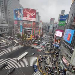 Shibuya Crossing.....
