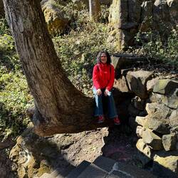 Der Fokus soll auf dem Baum liegen 😉