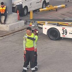 Auch Sie viel Arbeit