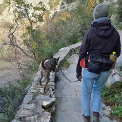 Unser Adrenalinjunkie in seinem Element.