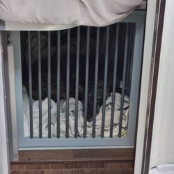 Da ist jemand platt vom vielen herumturnen.