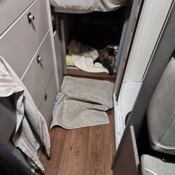 Macht endlich das Licht aus, ich will schlafen.