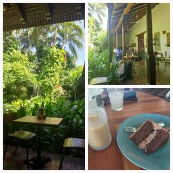 Kaffee und Schokotorte im Garden Cafe