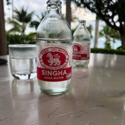 Zum singen 🎵 🎶🎵🎶