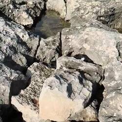 Die mondlandschaft ist fantastisch für die Hunde