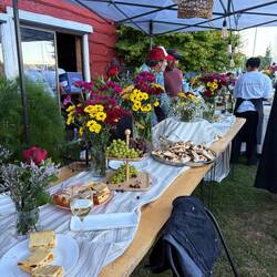 Apres sailing treats of fruit and empanadas