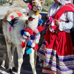 📸 🦙🕶️👒 -> 🙄🙄