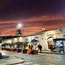 Auf dem Weg zum Abendessen 🥘