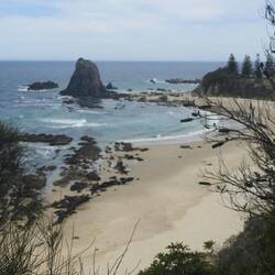 Glasshouse rocks