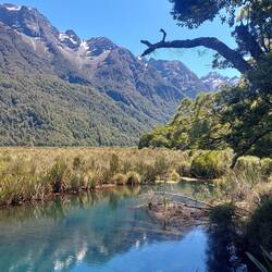 Mirror Lakes auf dem Weg nach Milford Sound