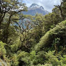 Auf dem Weg zum Lake Howden