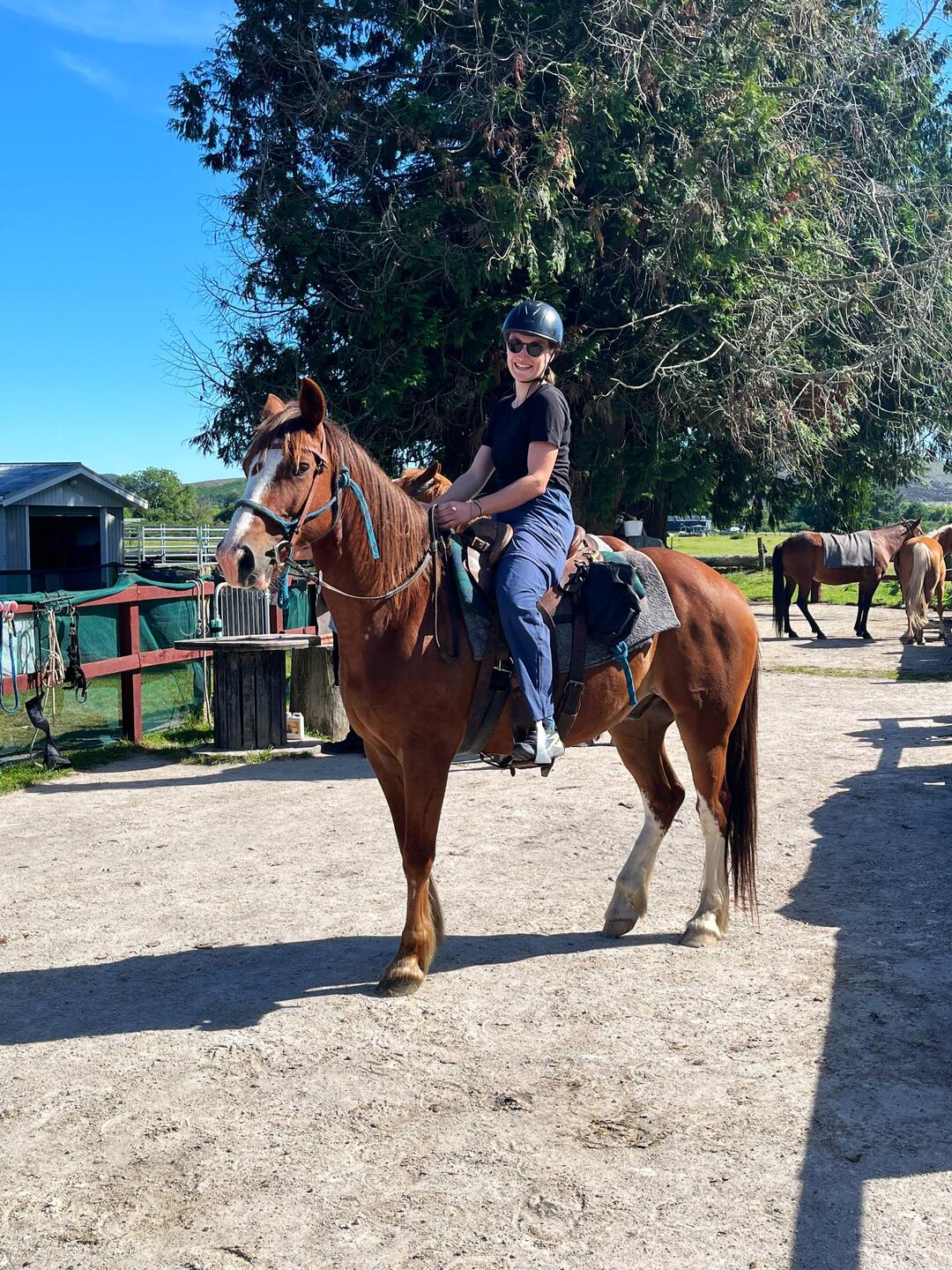 Mit Koi ging's durch die neuseeländische Wildnis