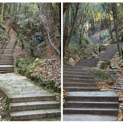 Neben den 1000 Löwen gab's auch Tausende von Treppen 🙈