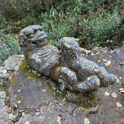 Löwen-Mami mit Kind