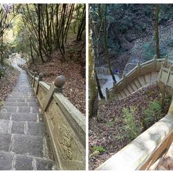 Wir haben heute 500 Höhenmeter in Form von Treppen überwunden 😜