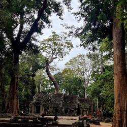 "Tomb Raider" Temple