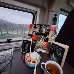 Der Regen der Nacht trocknet langsam