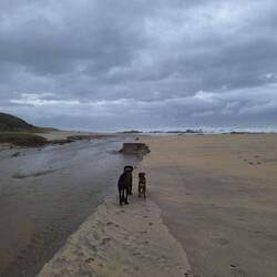 🤔 leere Strände, nur begrenzt durch Einmündungen
