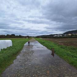 Fast wie zu Hause - 1. x Bedarf Kontakt aufzunehmen