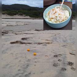 Na, ist denn da ein Orangenkutter untergegangenen?