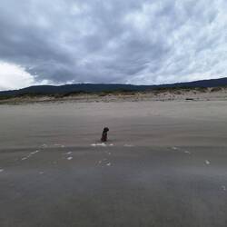 Boje ist das Meer heute unheimlich