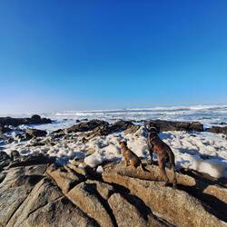 Morgenrunde in kurzer Hose und barfuß