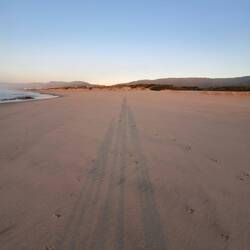 Schattenspiele - frisch beim Sonnenuntergang