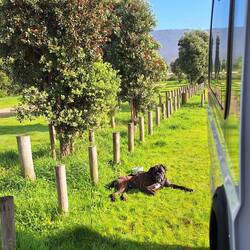 Erholung nach dem Erkundungsspaziergang