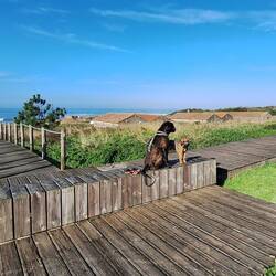 Typische portugiesische Fischerhäuser